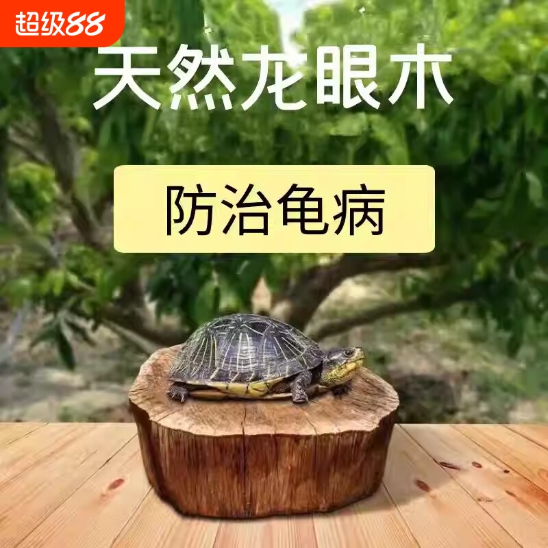 乌龟爬台免煮龙眼木晒背天然沉木栖息龟缸造景摆件生态造景装饰图片