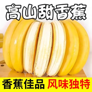 现摘高山甜香蕉新鲜水果当季 非芭蕉小米蕉孕妇整箱需催熟 商超