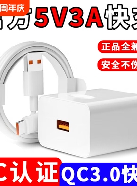 全兼容5V3A充电器散热器适配器35W按摩器电热垫15W保温碗保温壶插头充电宝通用typec数据线6A正品电源