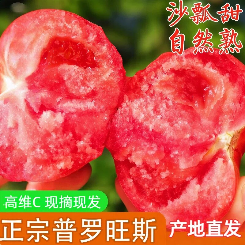 陕西泾阳普罗旺斯西红柿新鲜水果当季生吃沙瓤大番茄自然熟蔬菜