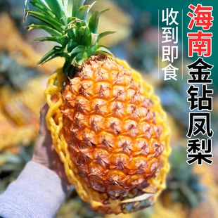 正宗金钻凤梨新鲜水果树熟大果海南芒果凤梨香水菠萝大果整箱包邮