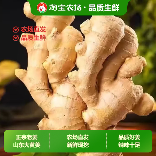 山东大姜生姜老姜风干姜新鲜老黄姜1斤3斤5斤包邮农场当季食用