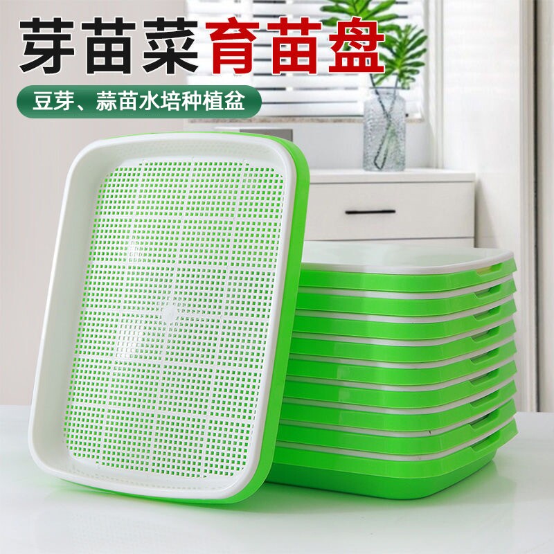 小麦芽苗菜育苗盘阳台种菜盆水培蔬菜豆芽无土栽培育蒜苗种植托盘