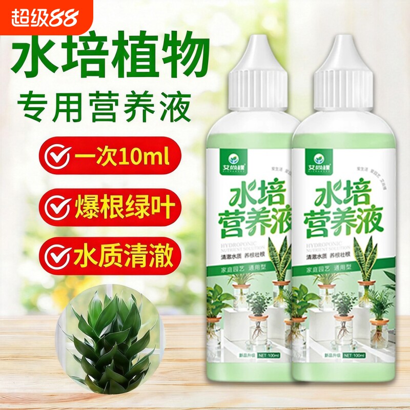 水培植物专用营养液富贵竹转运竹巴西木郁金香通用肥料室内水养