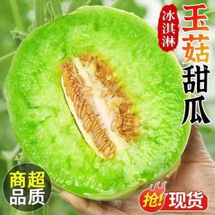 正宗海南冰淇淋甜瓜玉菇蜜瓜新鲜现摘当季水果香甜哈密瓜整箱批发