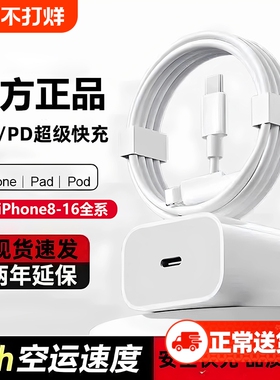 适用于苹果30W充电器原装正品iphone16/15/14/13pro平板11/8/X/XR/12充电线USB-C快充ipad20W快充PD数据线TC