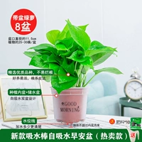 120#замороженный ранний бассейн [8] горшок для доставки кастрюли+10 жира 2