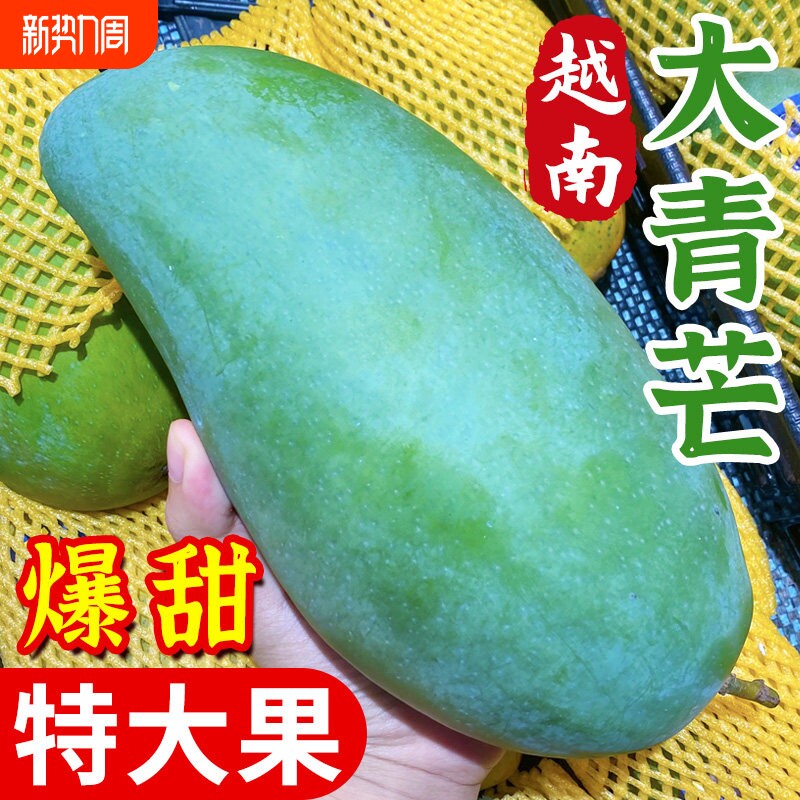 新鲜越南大青芒芒果水果金煌芒青皮大果应季热带云南当季现摘整箱