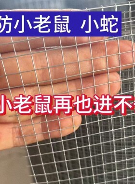 不锈钢镀锌铁丝网鱼塘栏杆电焊网
