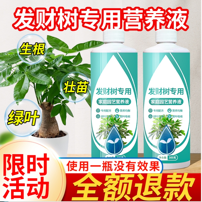 发财树专用营养液水培水溶肥
