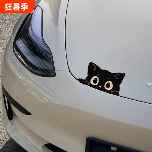 偷瞄黑猫车贴小号|超2000次加购