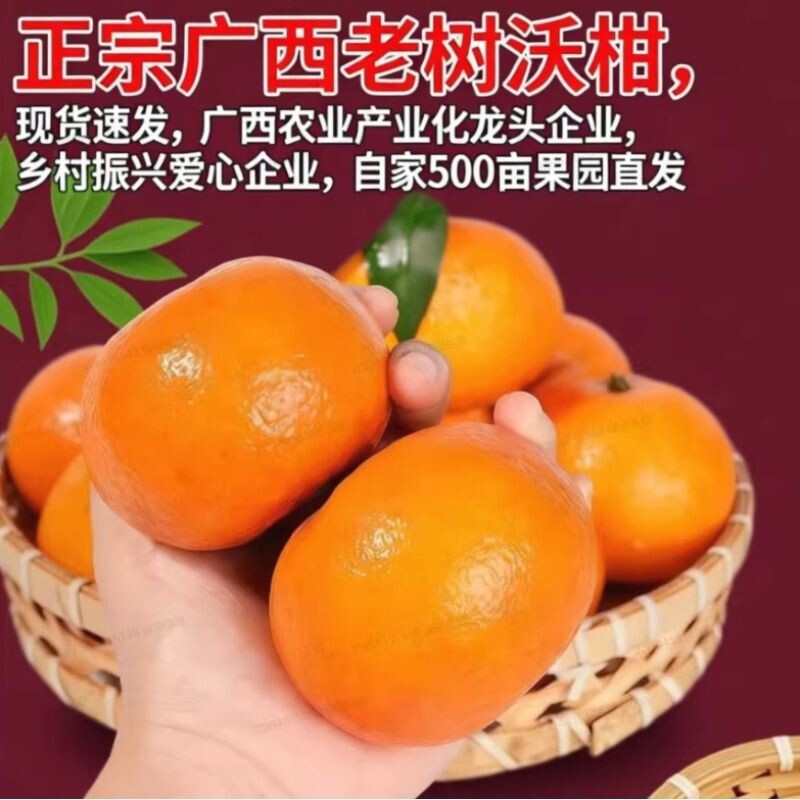 沃柑当季新鲜老树花皮水果广西果园薄多汁香甜沃柑口口爆汁的鲜果