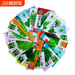 四季蔬菜种子红秋葵香菜青菜生菜白菜番茄茄子菠菜空心菜玉米草莓