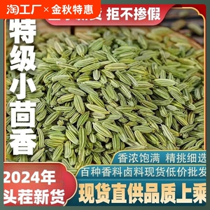 当季新货甘肃小茴香商用手选50g500克调料卤料磨粉香辛料增香去异