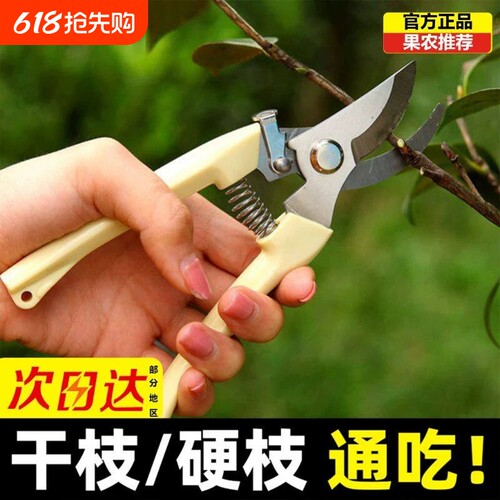 强力加厚钢果树修枝剪