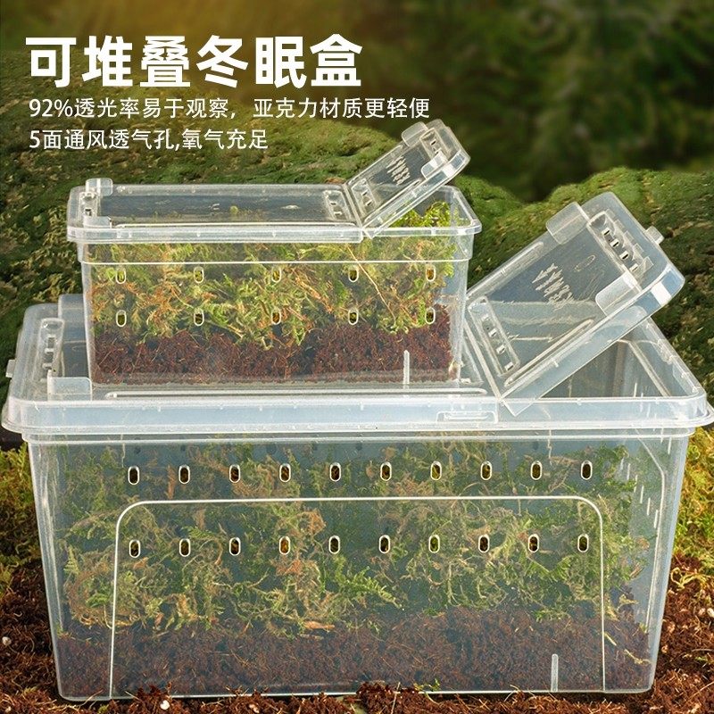爬宠冬眠盒寄居蟹蜘蛛守宫角蛙鬃狮蜥蛇动物窝乌龟箱饲养青蛙过冬
