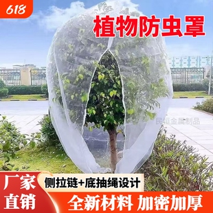 新款防虫网罩莲雾樱桃杨梅蓝莓果树防鸟防果蝇防蚊袋透气透光加厚