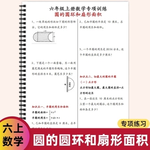 专项练习含答案 圆环和扇形面积 六年级上册数学 圆