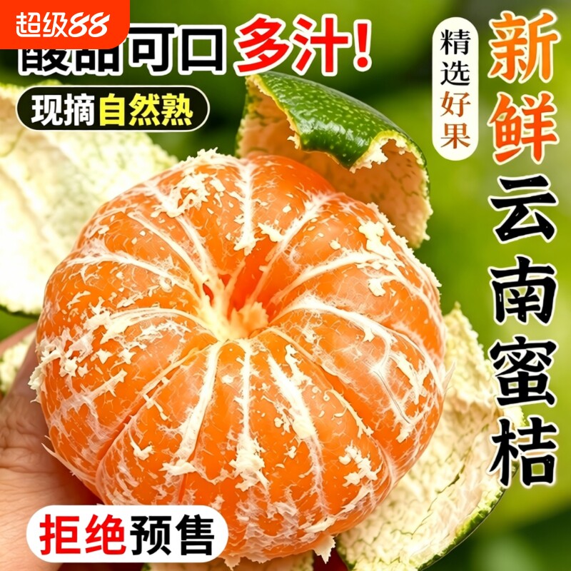 云南青皮蜜桔新鲜水果5斤蜜橘应当季早熟橘子酸桔子整箱包邮现摘 - 实物图