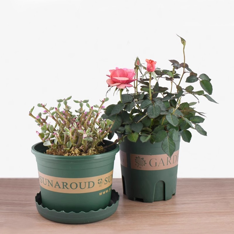 花盆/加仑A1pf0-塑料矮胖绿萝月季多肉加厚透气控根阳台家用大