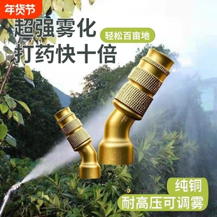 气喷药打药可调节喷头可雾化农用铜喷头进口高压喷雾器电动直喷