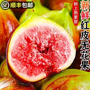 【顺丰】云南新鲜无花果红皮无花果整箱装现摘孕妇水果应季无花果