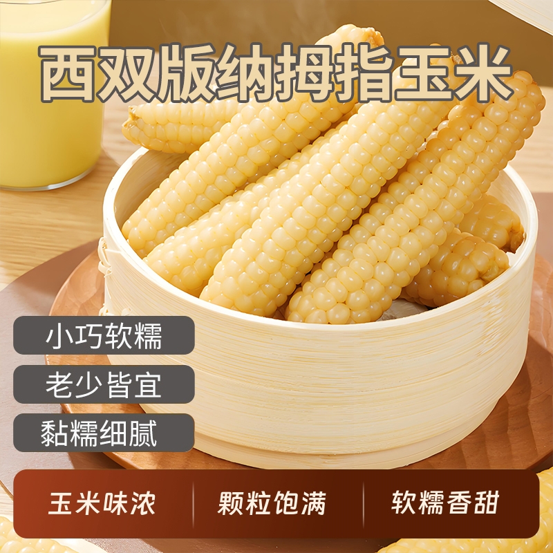 新货云南西双版纳拇指小玉米新鲜傣家香糯早餐小手指迷你儿童真空
