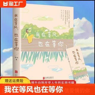 我在等风也在等你 一本洗涤心灵遇见爱情的书未来等你青春过往爱情永恒 21个情感故事 献给仍然相信爱情的你 言情小说青春校园小说