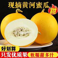 正宗白瓤蜜瓜新鲜当季孕妇水果现摘