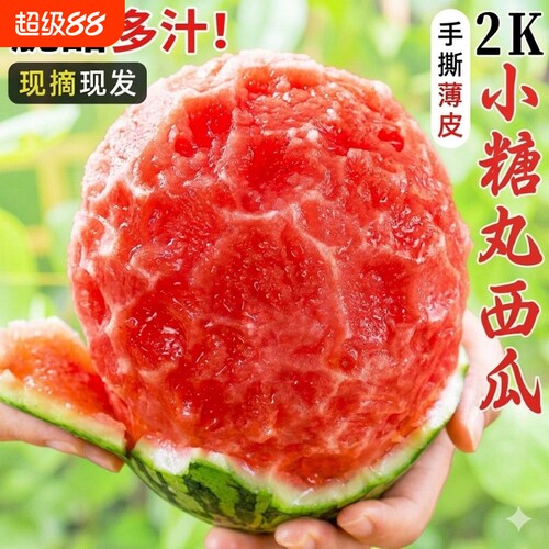 甘肃头茬沙漠种植手剥薄皮2k小西瓜酥脆小糖丸皮薄多汁西瓜4-6斤