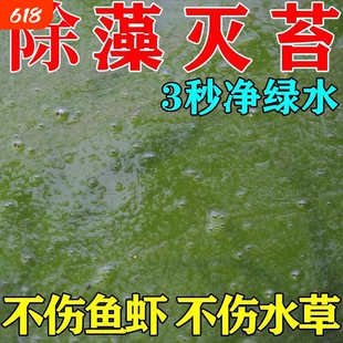 鱼池除藻去苔剂不伤鱼虾蟹鱼塘青苔蓝藻浮萍清除剂养殖净水清水质