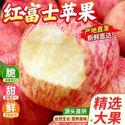苹果烟台栖霞红富士新鲜水果当季鲜果水果批发脆甜大果产地直发