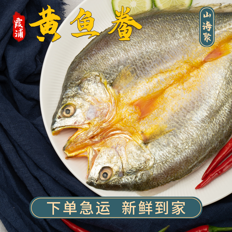 黄鱼鲞新鲜冷冻大黄鱼黄花鱼三去生鲜宁德小黄鱼海鲜鱼类海鱼商用