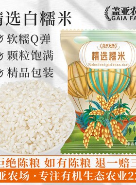 当季新粮东北白糯米500g新货黏米包粽子团子专用酿酒糍粑五谷杂粮