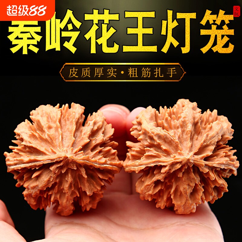 秦岭花王核桃粗筋多棱大刺霸气男女把玩盘玩文玩尺寸手把件野生山