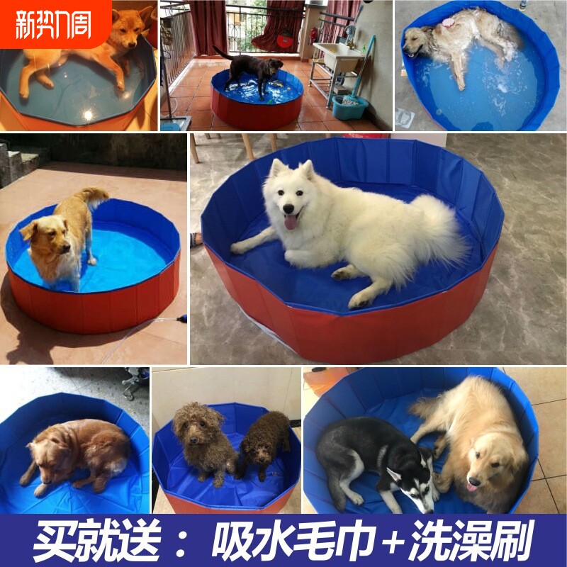 狗狗洗澡盆可折叠泰迪金毛阿拉斯加大型犬宠物浴盆洗狗盆狗用品