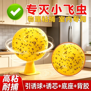 灭果蝇诱捕器去室内小飞虫神器克星水果店蚊子驱粘苍蝇球强力实蝇