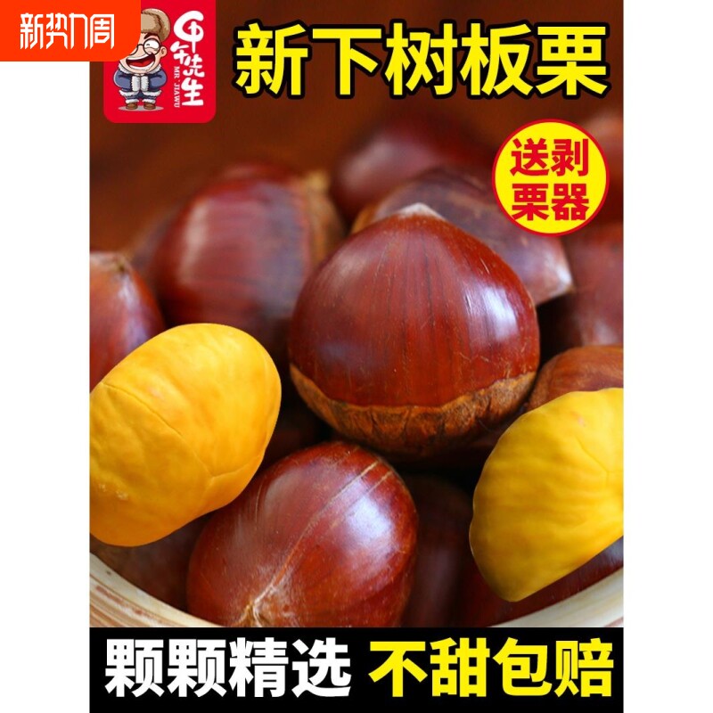 2025新鲜板栗丹东5斤鲜栗子生大嫩板粟锥栗野生 新油板栗农家
