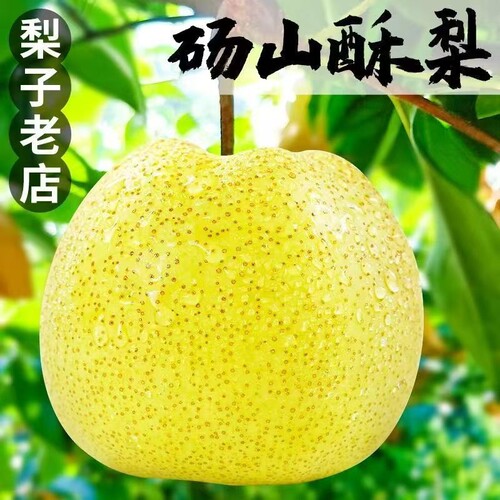 安徽砀山梨汤山梨现摘梨子香雪梨应季酥梨水果梨新鲜整箱包邮鲜果
