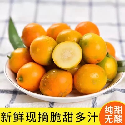 广西脆皮金桔 新鲜小金桔应季水果现摘纯甜5斤