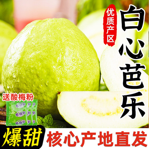 漳州白心芭乐水果新鲜当季奶油软应季巴乐果番石榴热带脆甜果肉