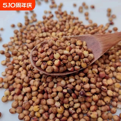 五谷杂粮甜荞麦苦荞麦种子红高粱大麦黑小麦燕麦青稞谷子小米水稻