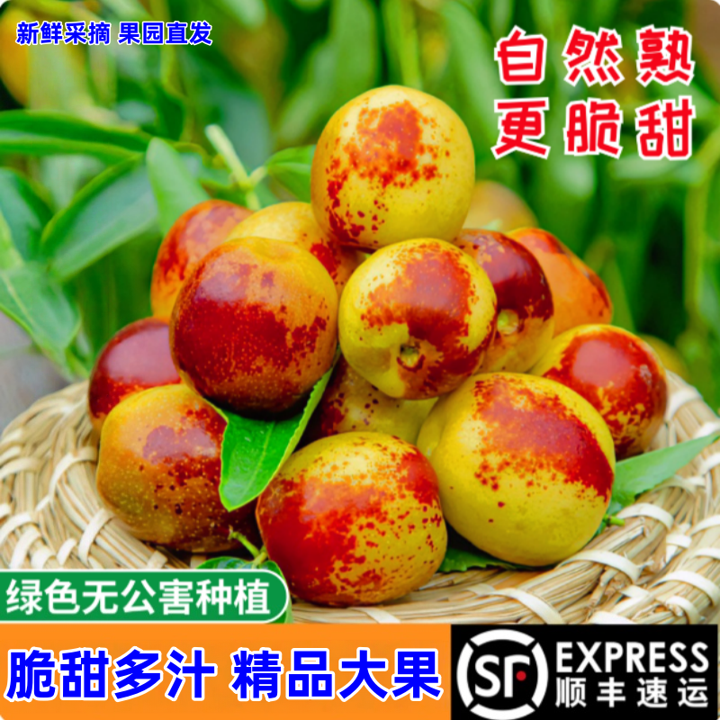 顺丰包邮正宗冬枣新鲜大果应季整箱枣子现摘脆枣冰糖大枣当季水果