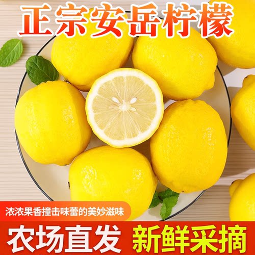新果安岳黄柠檬一二级新鲜水果应季现摘泡水柠檬片当季鲜果农场