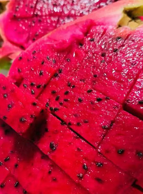 红心火龙果新鲜水果当季