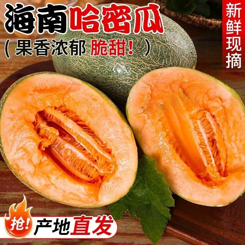 正宗海南哈密瓜爆甜新鲜现摘香甜脆蜜瓜当季新鲜冰淇淋网纹哈密瓜,水产肉类/新鲜蔬果/熟食,哈密瓜,淘宝优惠券,粉丝福利购,淘宝优惠卷