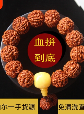 正宗尼泊尔大金刚菩提子手串佛珠男女士手链双龙纹文玩收藏满肉免