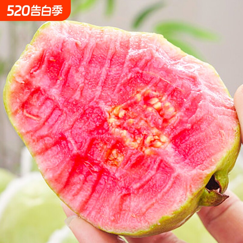 红心芭乐新鲜水果5斤低糖冰淇淋籽鸡屎果巴乐番石榴热带软糯鲜果
