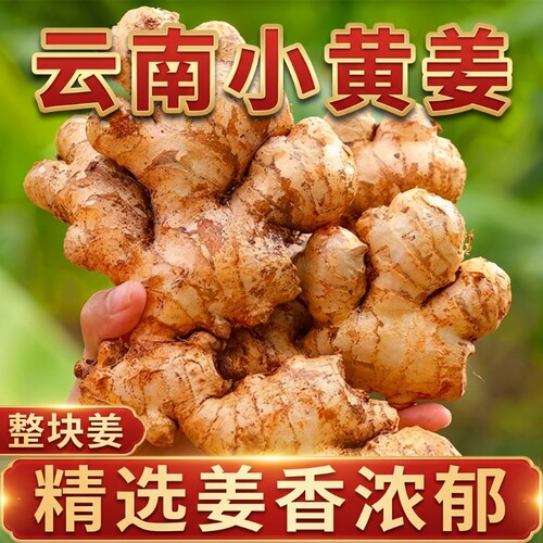 新鲜云南小黄姜500g|千人加购