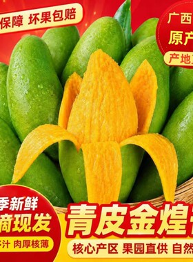 广西百色青皮金煌芒果包邮新鲜现摘当季热带水果核小多汁果肉Q弹